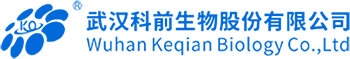 TPE_TPR報價_TPE材料生產廠家_熱塑性彈性體_增韌劑-國豐橡塑